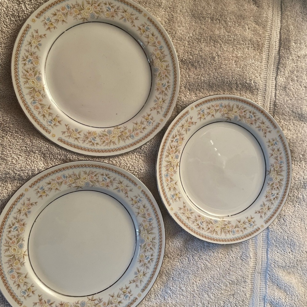 3 X Fine China Antique Plate Vintage silver Trim Art Dish Flowers 8 In